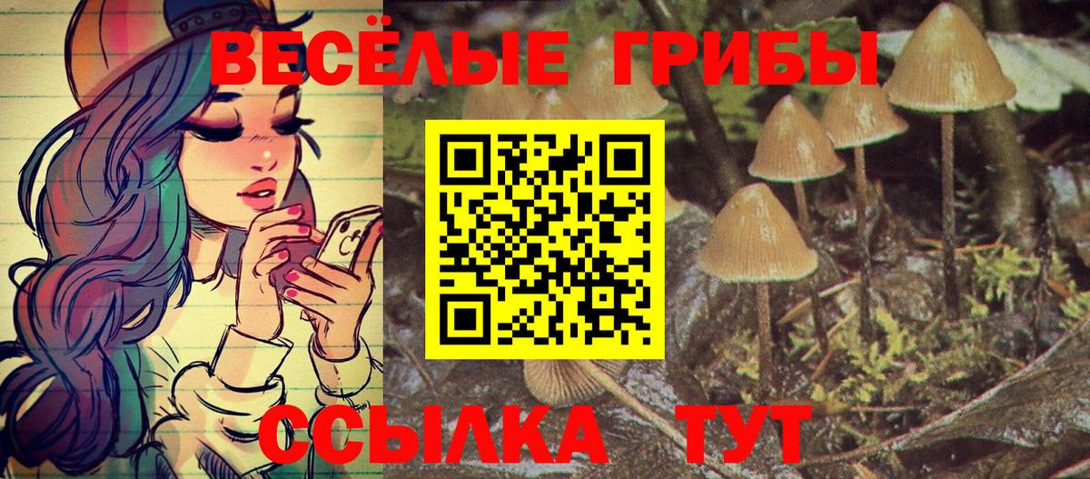 Галлюциногенные грибы мухоморы Озёрск