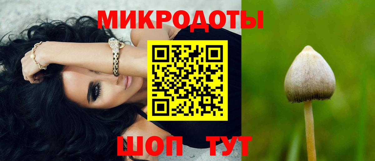 Псилоцибиновые грибы мухоморы  Вход с VPN  Озёрск 