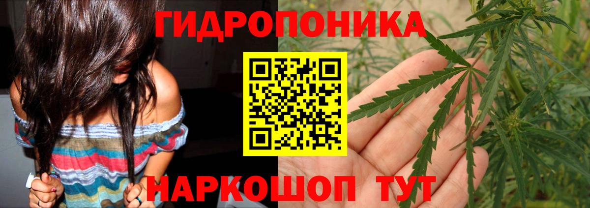 Конопля планчик Озёрск